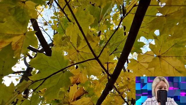 Санитарка заступилась за бомжа, перед главврачом. Но после увольнения её ждал главный сюрприз...