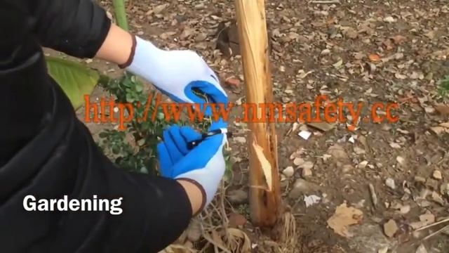 NM10902 Самые дешёвые латексные перчатки,Оптом!!! смотреть онлайн
