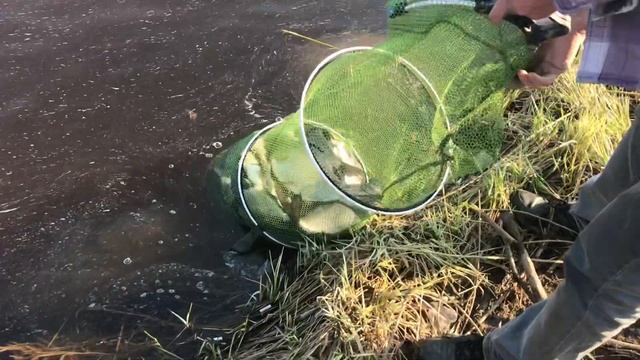 Рыбалка в Пскове смотреть онлайн