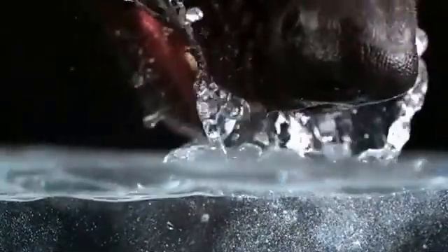 Знайте ли вы собаки как пьют воду ? смотреть онлайн