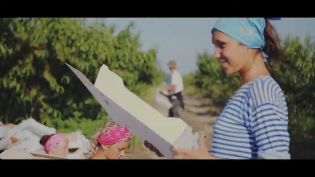 Студенческие сельскохозяйственные отряды (РСО) смотреть онлайн