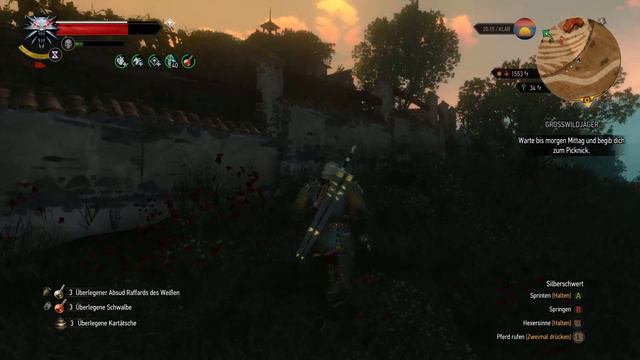 [041b] Witcher 3 - BuW - Nq - Graf Beledal
