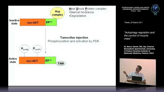 M. Sandri - Autophagy Regulation And The Control Of Muscle Mass