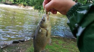 Карась на спиннинг.(ультралайт)