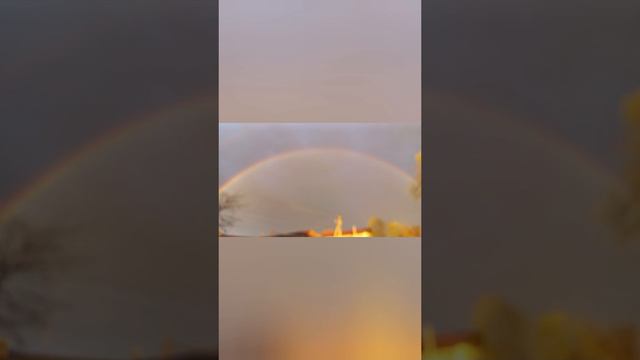 радуга смотреть онлайн