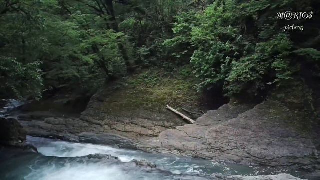 Не злись / всё куда проще, чем кажется / Воскресные чтения смотреть онлайн