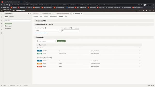 Caching Business Objects Data on the Client - With Visual Builder смотреть онлайн