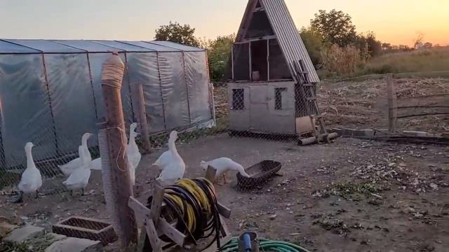 Мы с ней не справляемся смотреть онлайн