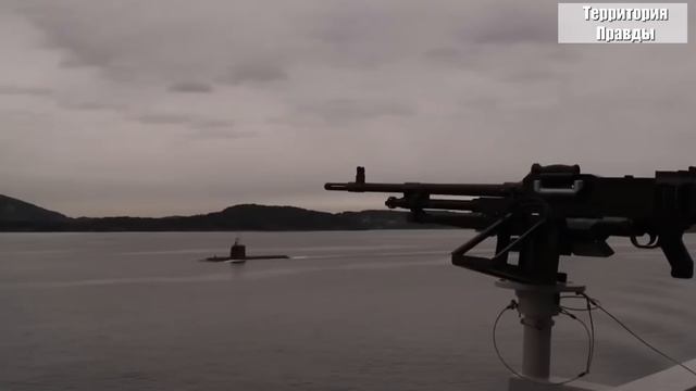 Захарова мощно «отбрила» Пентагон: в США забыли о своей главной проблеме смотреть онлайн