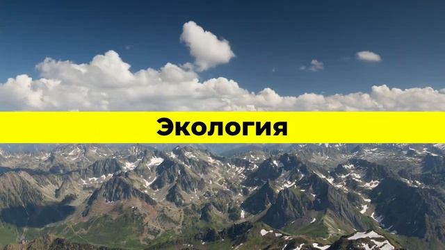 Топ 4 бизнес идеи инстаграм в 2021 году