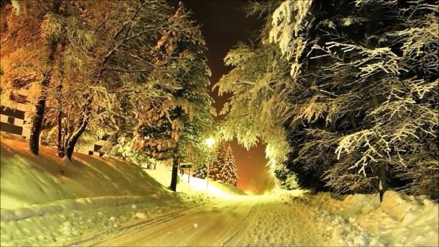 И падал снег с ночного неба. Читают Элла Якубенкова и Владислав Витковский смотреть онлайн