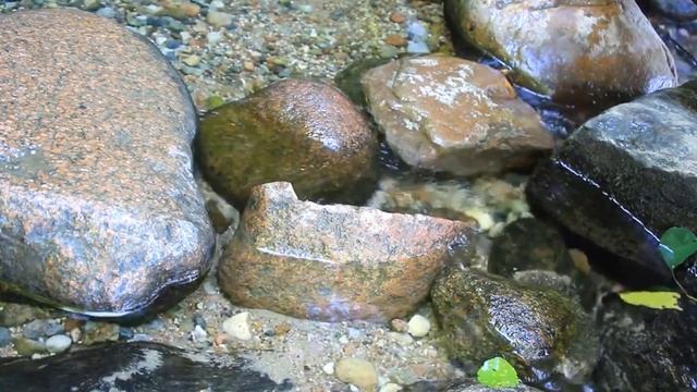 Звуки ручья Плеск воды Медитация и релакс музыка смотреть онлайн