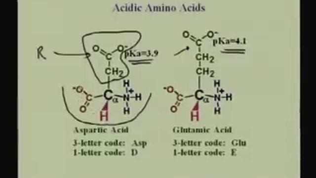 Lecture - 1 Amino Acids I смотреть онлайн