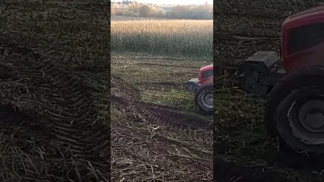 псковская область смотреть онлайн