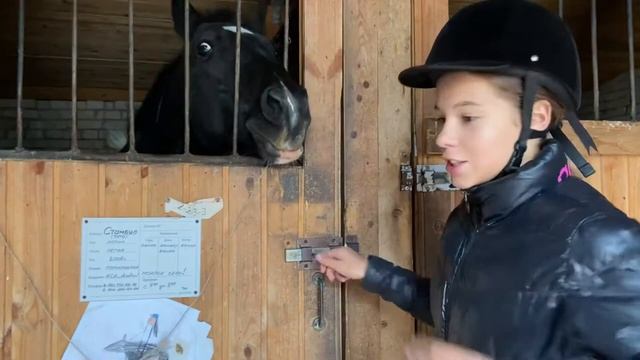 День из моей жизни.Конный спорт. ВЛОГ ? смотреть онлайн