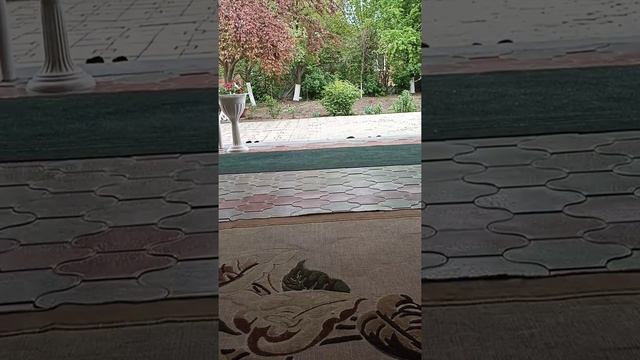 УРАЗА-БАЙРАМ! СВЕЩЕННЫЙ НАШ ПРАЗДНИК!!! ВСЕХ МУСУЛЬМАН С ПРАЗДНИКОМ!!! смотреть онлайн