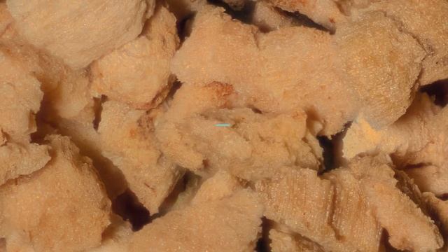About Quercus Suber смотреть онлайн