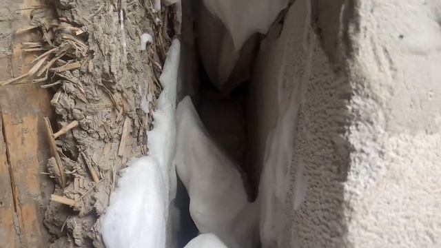 Полностью дырявый дом смотреть онлайн