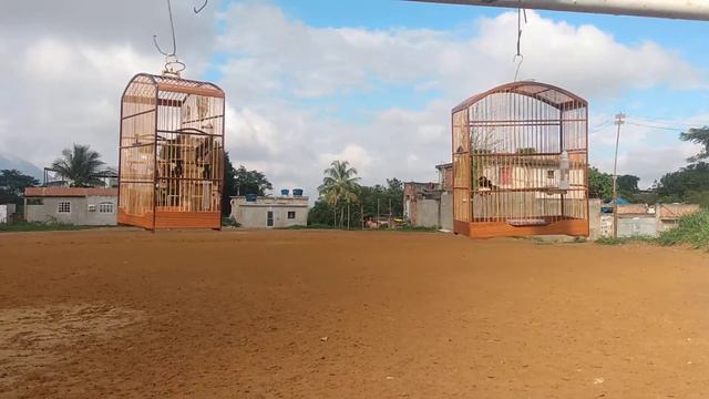 Mais um dele K99 смотреть онлайн