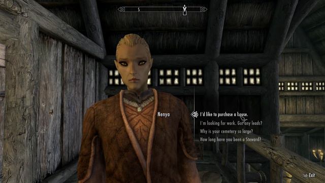 Legendary Skyrim: Ghosts N Stuff (again) смотреть онлайн