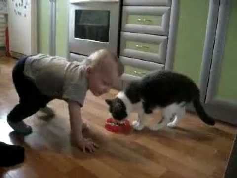Give me a try! ¤ Дай мне попробовать! ¤ смотреть онлайн