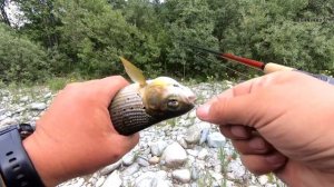 Горная рыбалка по хариусу/Забрались на лодках в самые верха, а как спускаться?/Travel на Тальмень#6