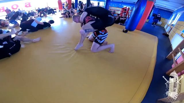 Открытый ковер 3 (День борьбы) 27.01.2018 смотреть онлайн