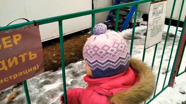 Зоопарк в Армавире на Черёмушках. Нашли доброго друга смотреть онлайн