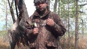 Как манить гуся. Как пользоваться манком на белолобого гуся