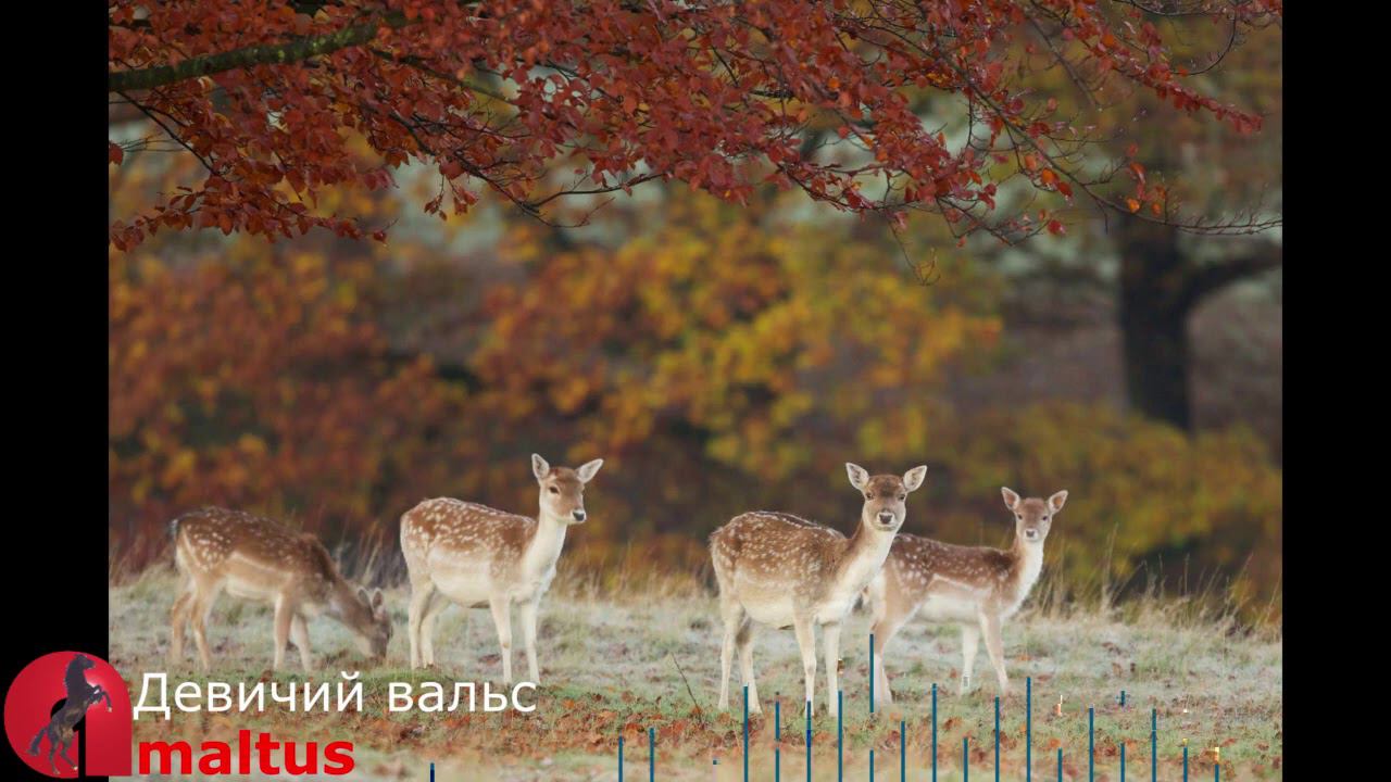 Девичий вальс смотреть онлайн