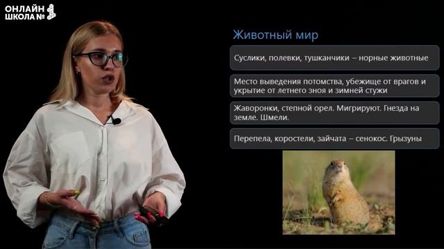 Лесостепи и степи. Полупустыни, пустыни, субтропики. Видеоурок 22. География 8 класс смотреть онлайн