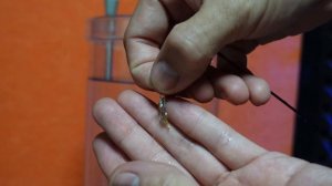 Отгрузка матчево корейского поплавка