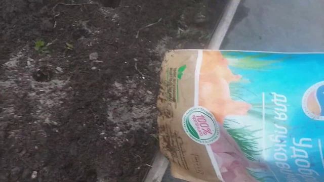 Посадка чеснока под зиму смотреть онлайн