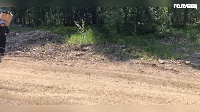 328 СЕКУНДЫ СМЕХА | ЛУЧШИЕ ПРИКОЛЫ НОЯБРЬ смотреть онлайн