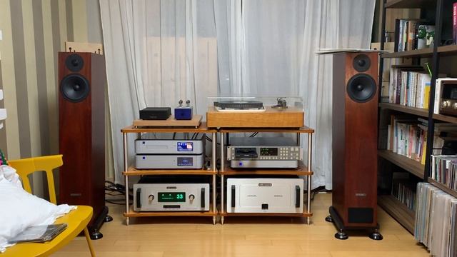 PS Audio Memory Player CDT+DirectStream, Audio Research Reference3, Reference 110, PMC Twenty 24