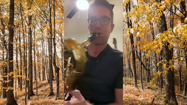 Bari Sax Jazz Mouthpiece Demo | Windy City Woodwinds смотреть онлайн