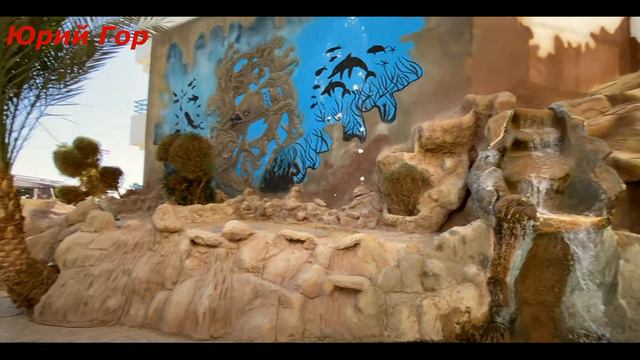 Отзыв отдыхающего. Отель Queen Sharm Resort (ex. Vera Club Queen Sharm Beach). Sharm El Sheikh!
