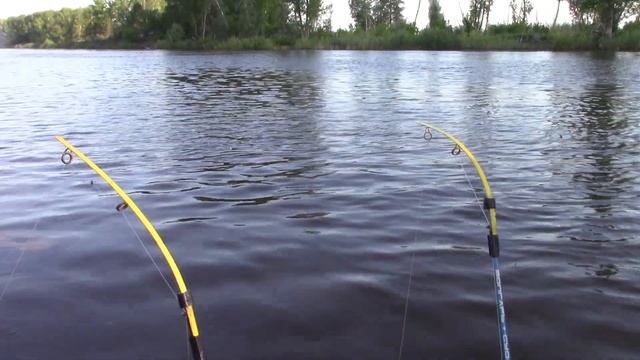 Рыбалка на сазана и другую рыбу. смотреть онлайн