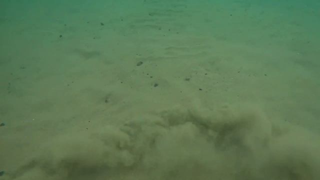 Underwater metal detecting with minelab excalibur 2, i found 2 beautiful gold rings смотреть онлайн