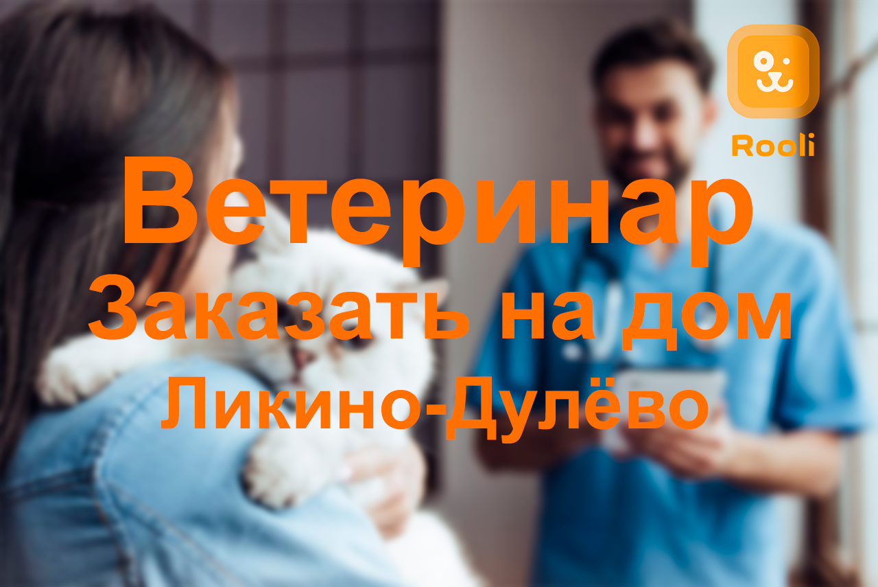 Ветеринар в Ликино-Дулёво: Профессиональная помощь вашим питомцам смотреть онлайн