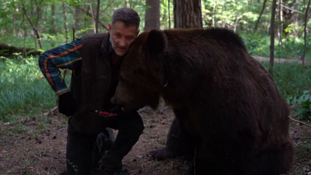 Перевод продуктов)) смотреть онлайн