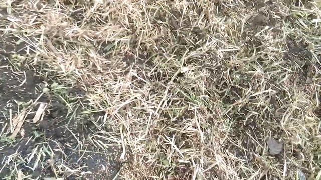 Мастерство и Креатив