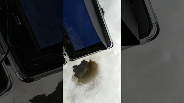 Продолжение про камеру для рыбалки. смотреть онлайн