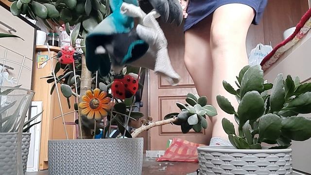 Генеральная уборка комнаты смотреть онлайн