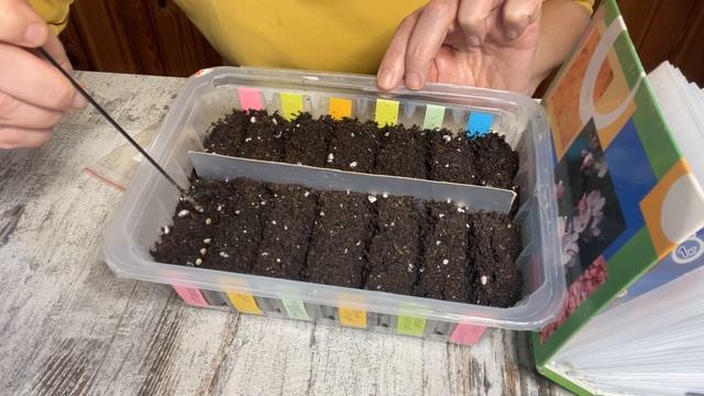 9 марта Главные посевы - перцы, баклажаны, томаты смотреть онлайн