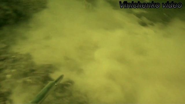Судаки чистой воды смотреть онлайн