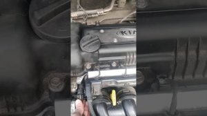 из-за  чего дизилит двигатель Киа Рио 3