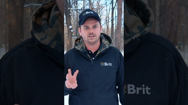 Топ 5 советов кинолога для идеальной прогулки с собакой смотреть онлайн