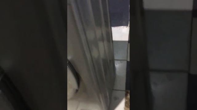 Стиральная машина Vestfrost VFWM 1241 SE