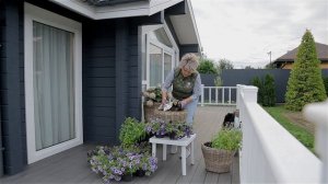 Сад с нуля. Калибрахоа.  Контейнерное озеленение.